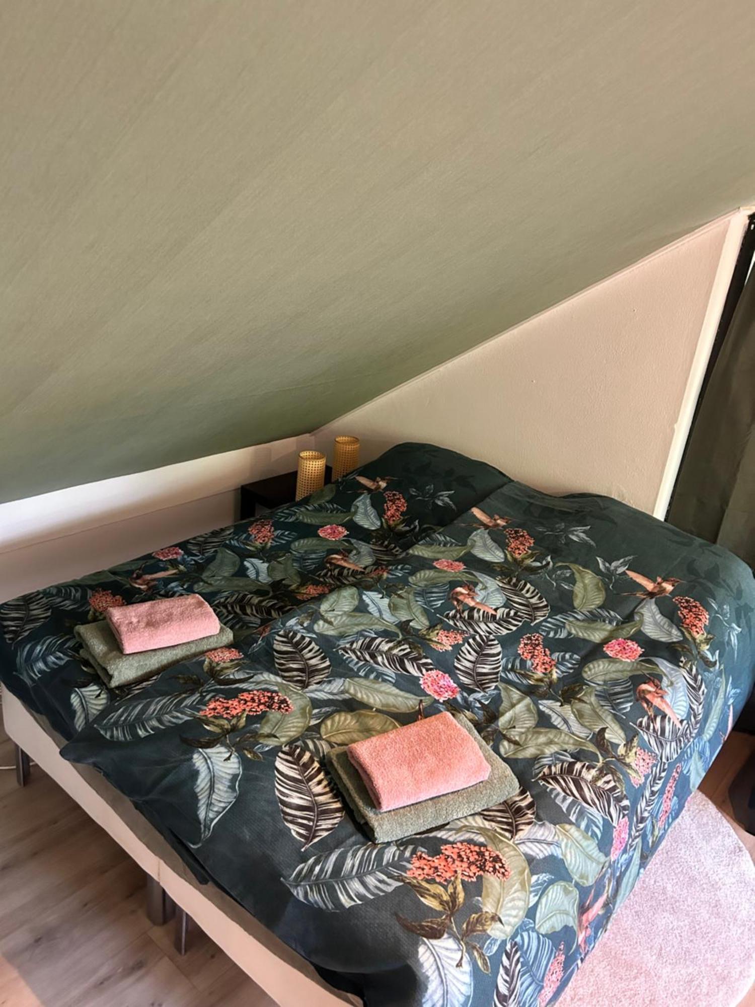 Apartament Zen Retreat - Free Private Parking! Enschede Zewnętrze zdjęcie